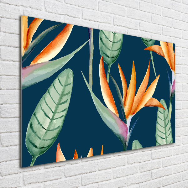 Quadro vetro Strelitzia reginae
