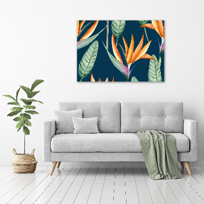 Quadro vetro Strelitzia reginae