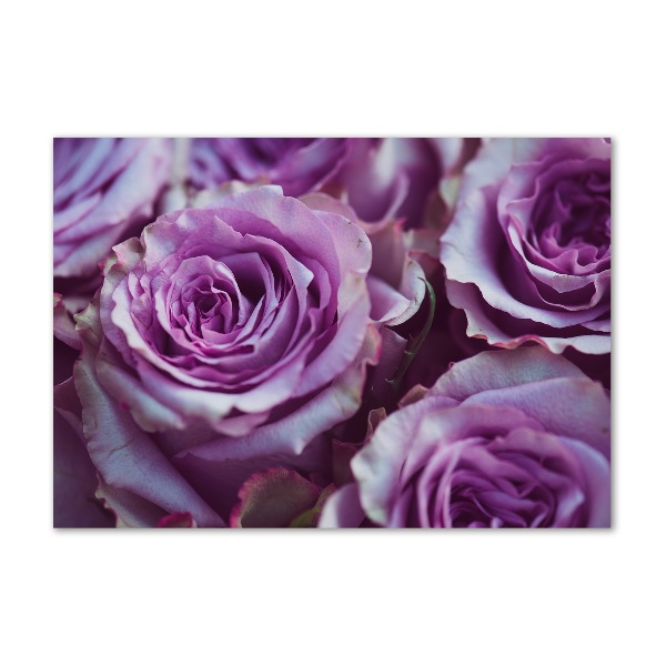 Quadro vetro Rose viola