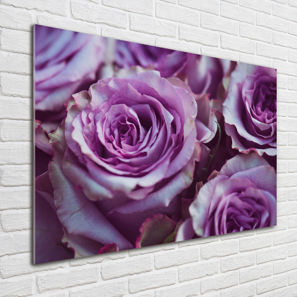 Quadro vetro Rose viola
