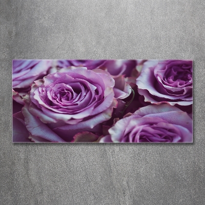 Quadro vetro Rose viola