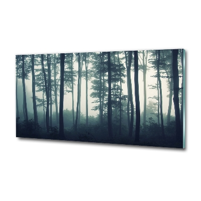 Quadro su vetro Foresta nella nebbia