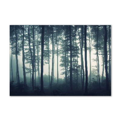 Quadro su vetro Foresta nella nebbia