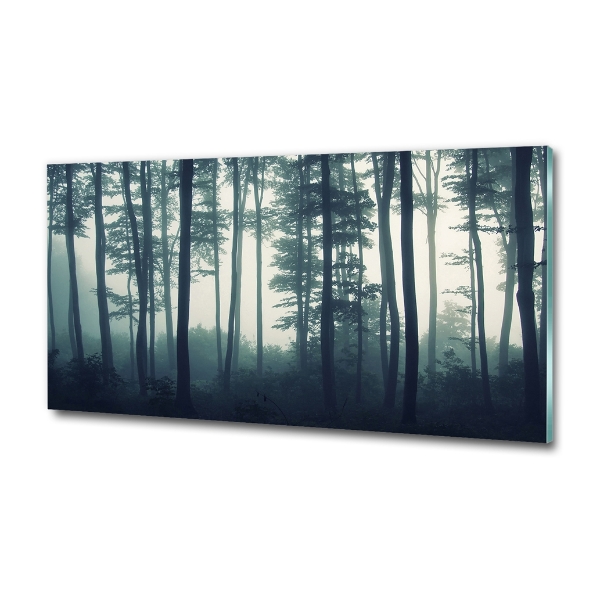 Quadro su vetro Foresta nella nebbia