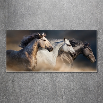 Quadro su vetro Cavalli al galoppo
