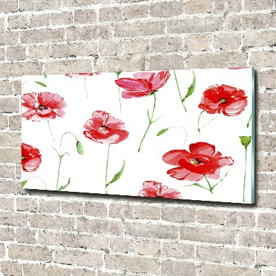 Quadro su vetro Papaveri