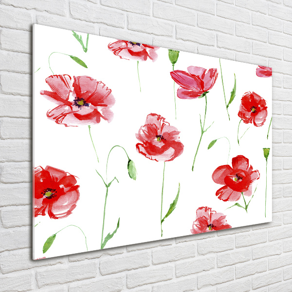 Quadro su vetro Papaveri