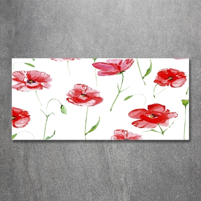 Quadro su vetro Papaveri