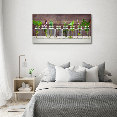 Quadro vetro Piante in vaso