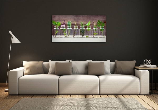 Quadro vetro Piante in vaso