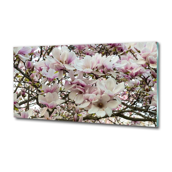 Quadro in verde Fiori di magnolia