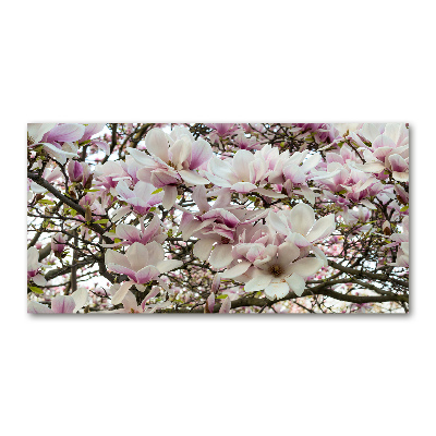 Quadro in verde Fiori di magnolia