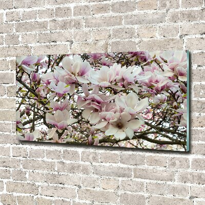 Quadro in verde Fiori di magnolia
