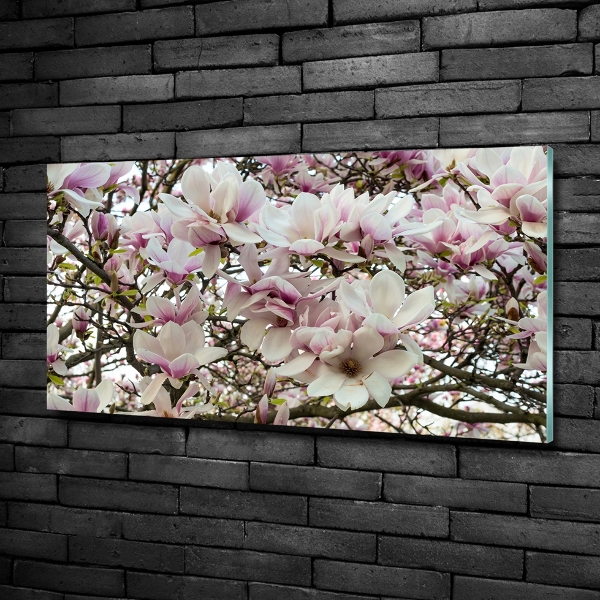 Quadro in verde Fiori di magnolia