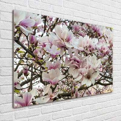 Quadro in verde Fiori di magnolia