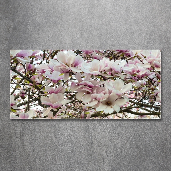 Quadro in verde Fiori di magnolia