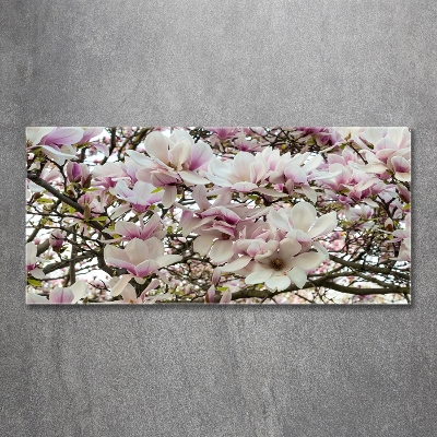 Quadro in verde Fiori di magnolia