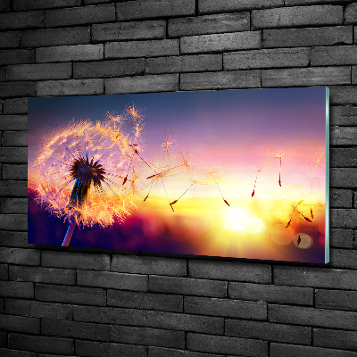 Quadro su vetro Dente di leone