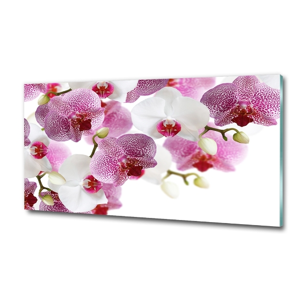 Quadro su vetro Orchidea