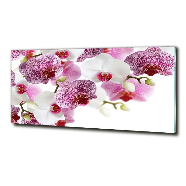 Quadro su vetro Orchidea