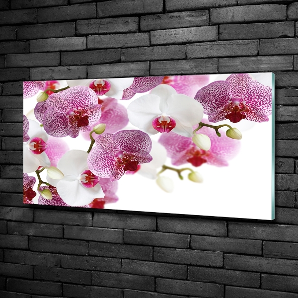 Quadro su vetro Orchidea