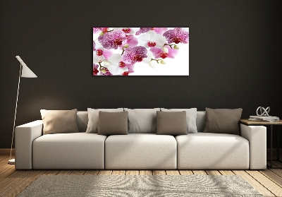 Quadro su vetro Orchidea