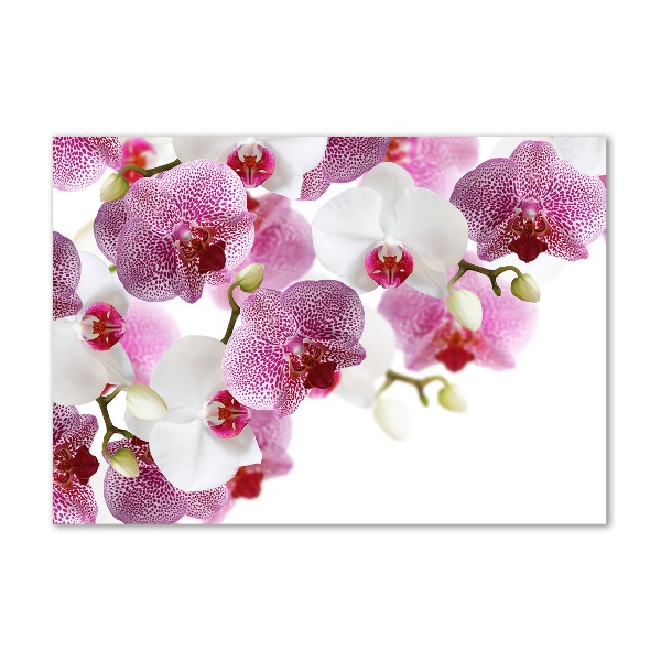 Quadro su vetro Orchidea