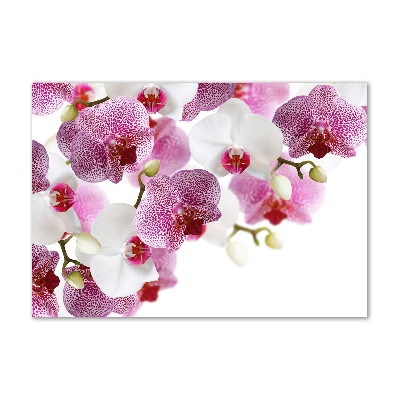 Quadro su vetro Orchidea