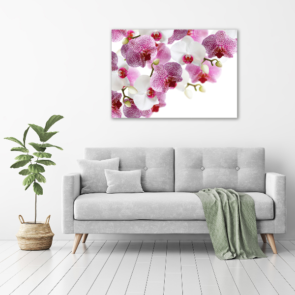 Quadro su vetro Orchidea
