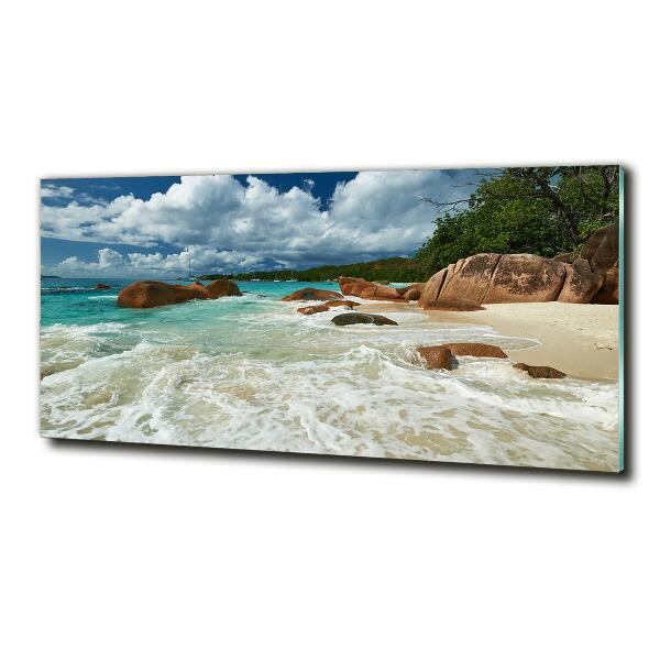 Quadro in verde Spiaggia delle Seychelles