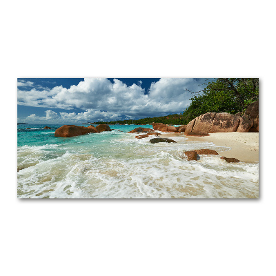 Quadro in verde Spiaggia delle Seychelles