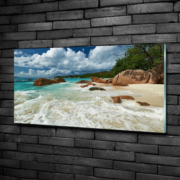 Quadro in verde Spiaggia delle Seychelles
