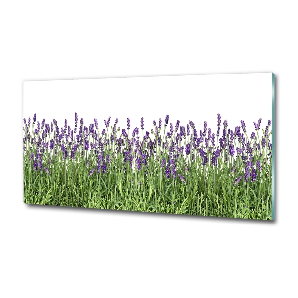 Quadro in vetro Fiori di lavanda