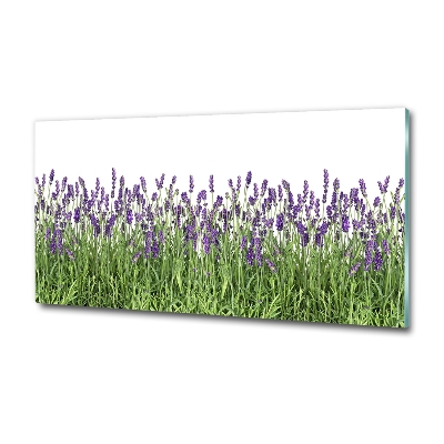 Quadro in vetro Fiori di lavanda