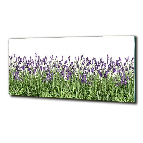 Quadro in vetro Fiori di lavanda