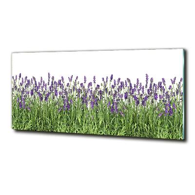 Quadro in vetro Fiori di lavanda