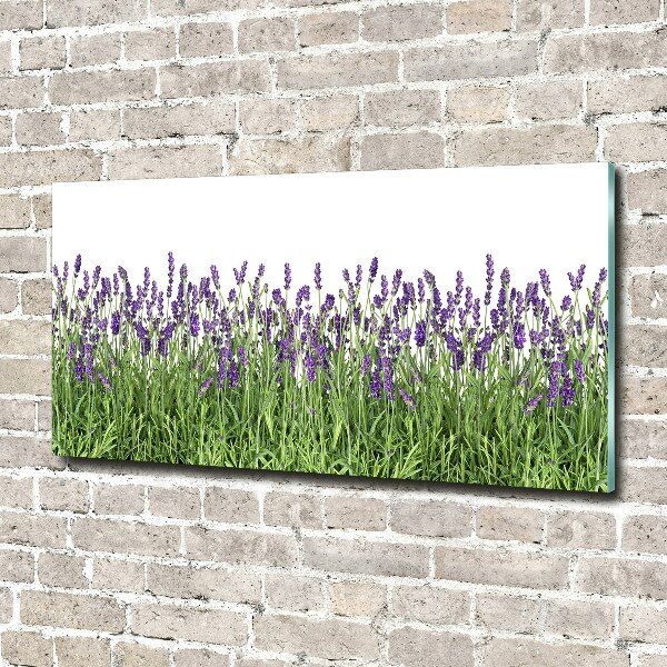 Quadro in vetro Fiori di lavanda