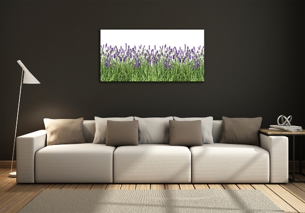 Quadro in vetro Fiori di lavanda