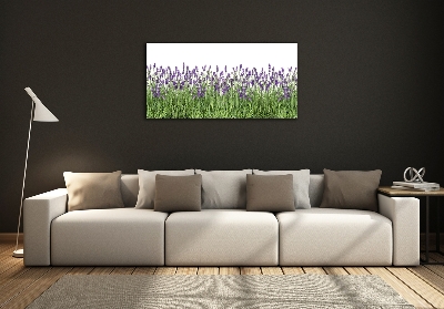 Quadro in vetro Fiori di lavanda