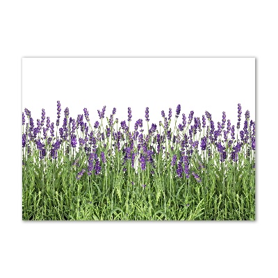 Quadro in vetro Fiori di lavanda