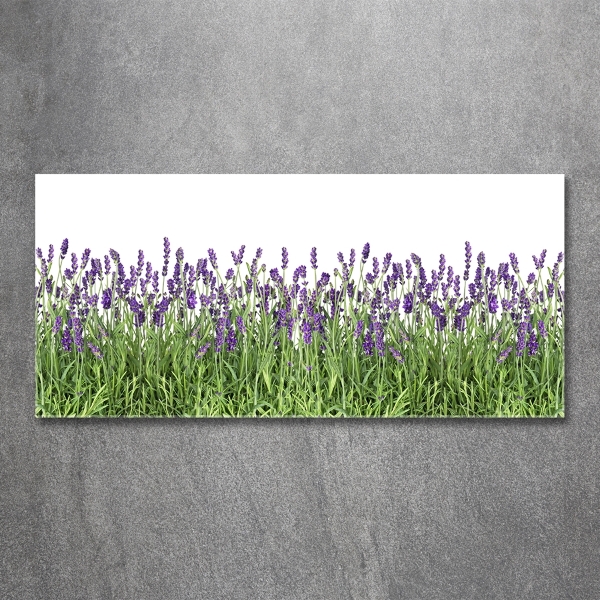 Quadro in vetro Fiori di lavanda