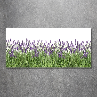 Quadro in vetro Fiori di lavanda