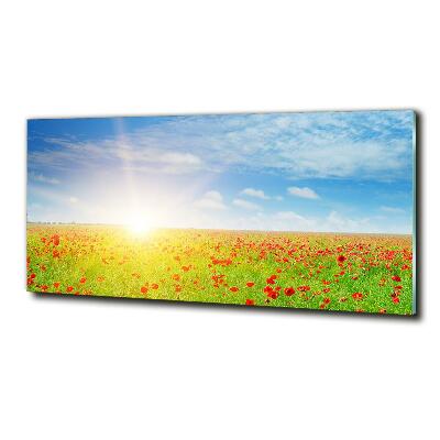 Quadro vetro Campo di papaveri