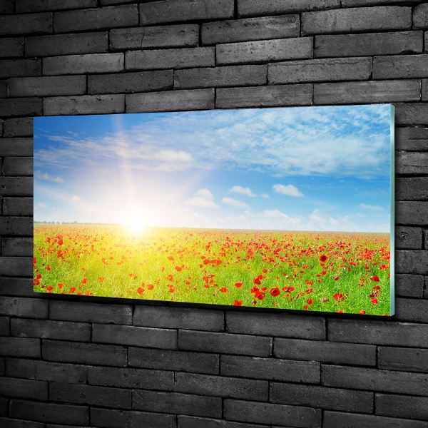 Quadro vetro Campo di papaveri