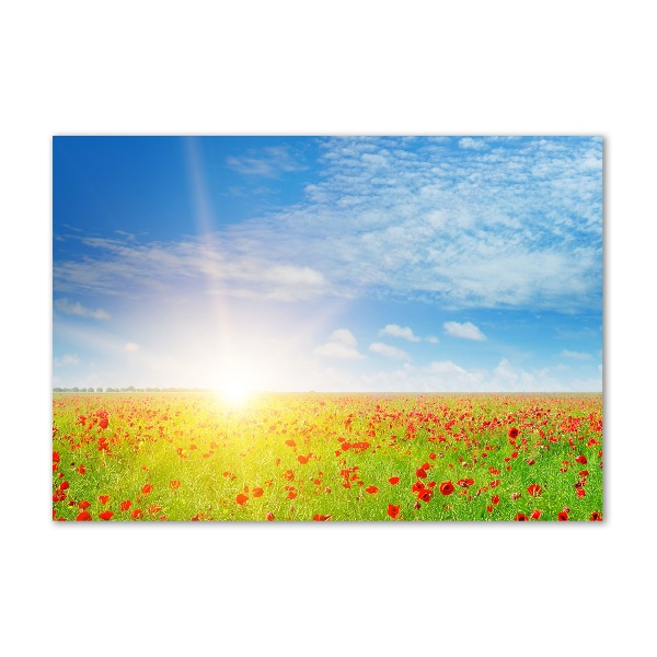 Quadro vetro Campo di papaveri