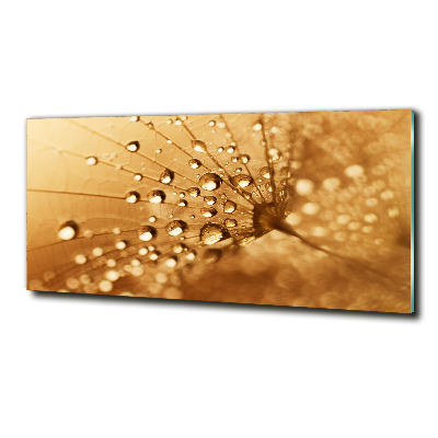 Quadro in verde Dente di leone