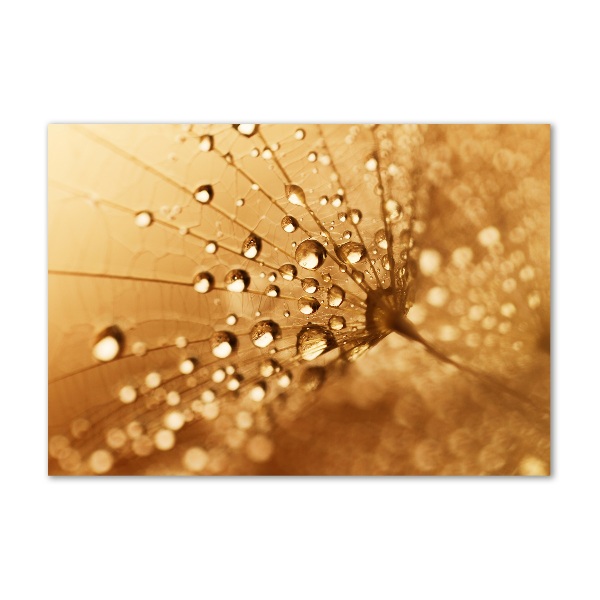 Quadro in verde Dente di leone