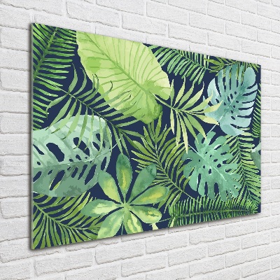 Quadro vetro Foglie tropicali
