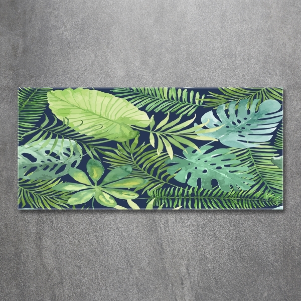 Quadro vetro Foglie tropicali