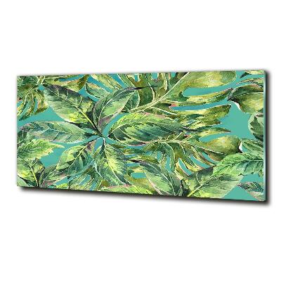 Quadro su vetro Foglie tropicali